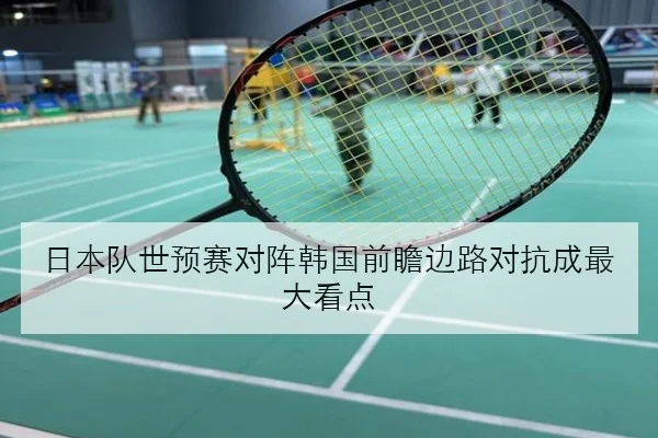 imp_095108a870fe4d3a.jpg